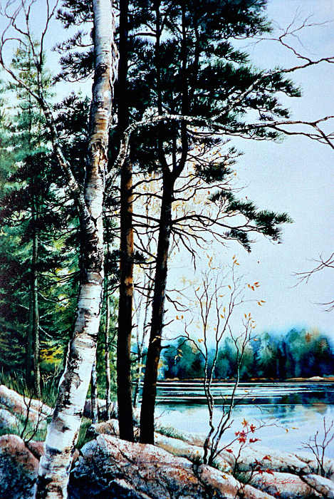 painting lake landscape in summer