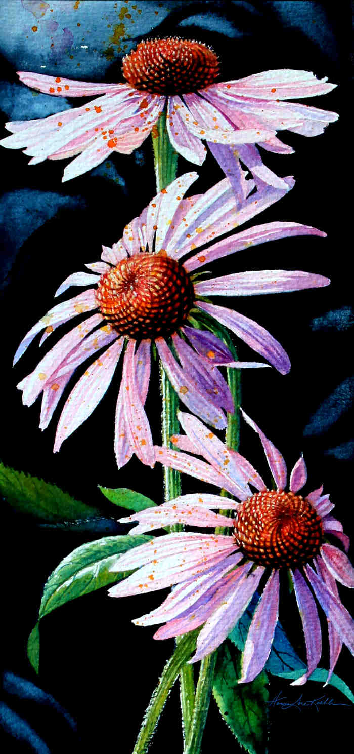 painting of purple cone flowers