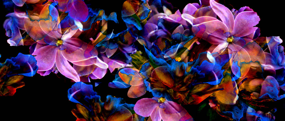 Digital Flowers Painting