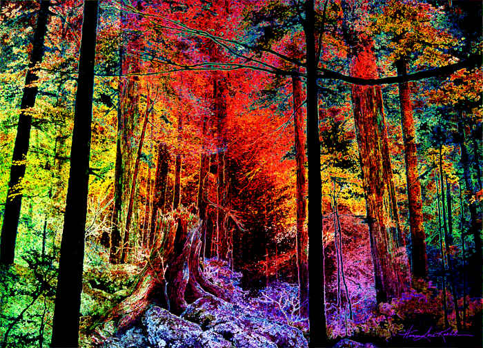 autumn woods landscape painting