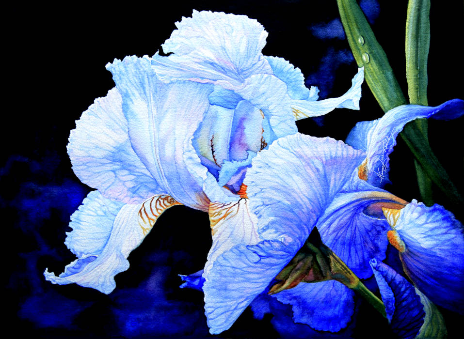 iris painting