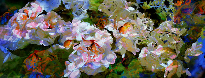 digital painting of flowers
