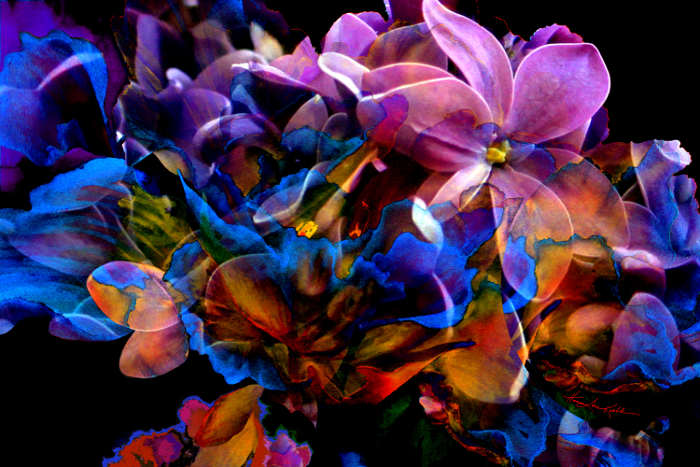 digital painting beautiful flower