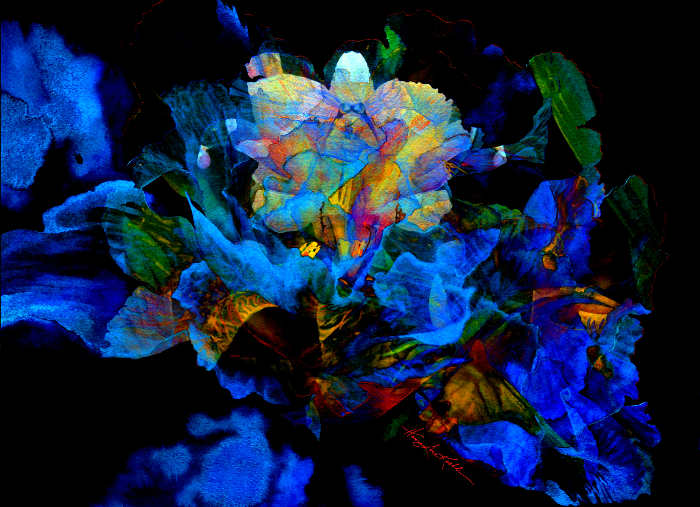 digital painting contemporary flower abstract