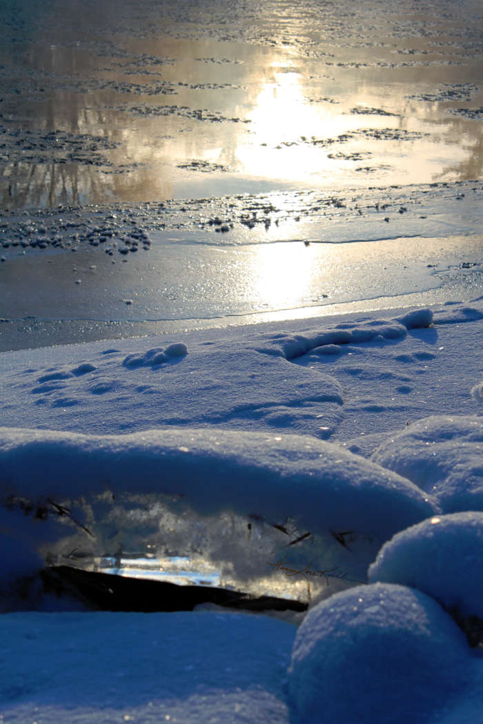 artistic winter ice photography art prints