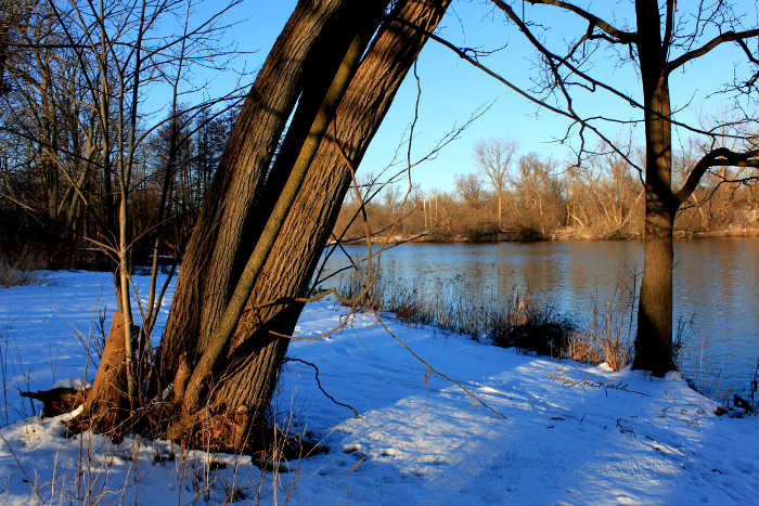 winter river landscape photography art prints