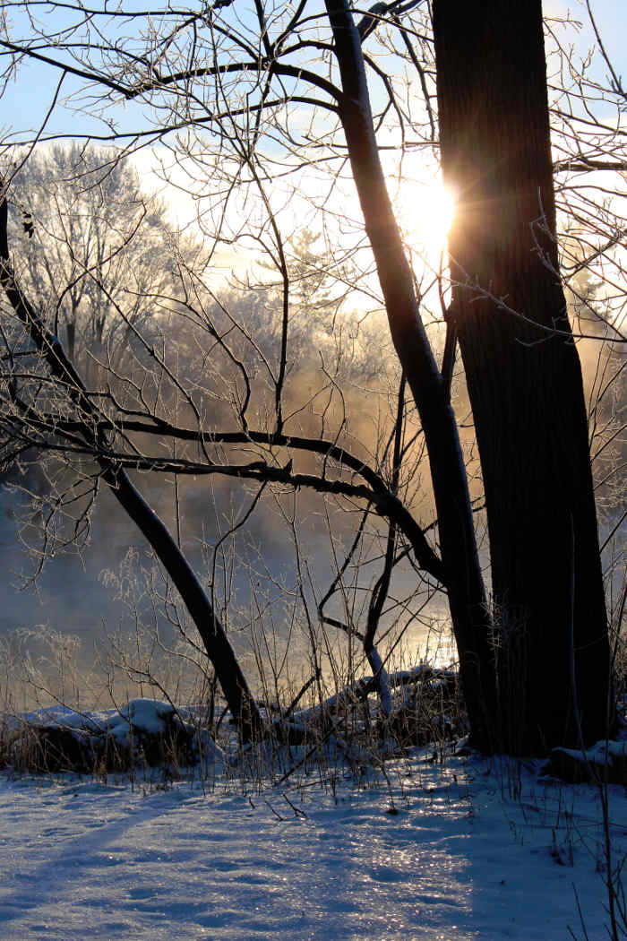 misty winter nature art photography prints