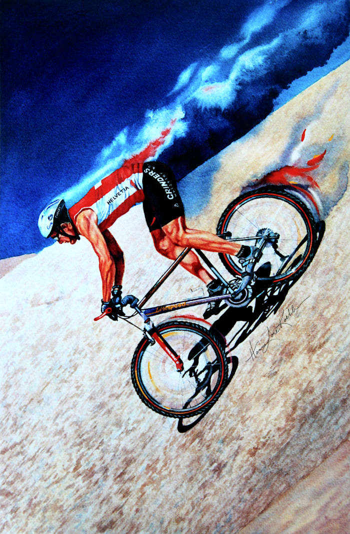 Rocky Mountain extreme biking art