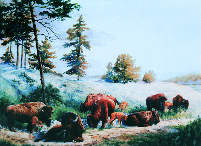 buffalo painting
