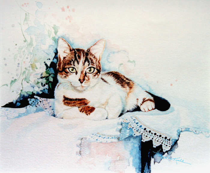 Calico cat portrait