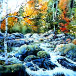 polliwog creek in the woods painting