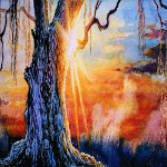sunset behind a weeping willow tree