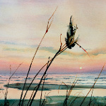 sunset lake dune grass murals