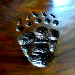 Bear Footprint Table Art Prints