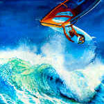 wind surfer
