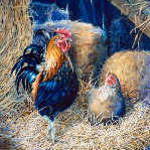 rooster and hen farm animal paintings