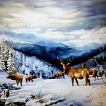 elk in Rockies painting