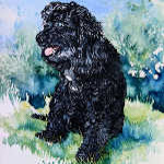 cocka-poo dog portrait painting from photo