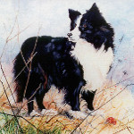 watercolor pet portrait artist