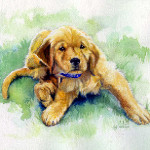 Pet portrait painting of Labrador retriever puppy